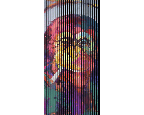 Designový akustický panel DIGI04R 19x1133x2400 mm Abstraktní obraz opice s pruhy