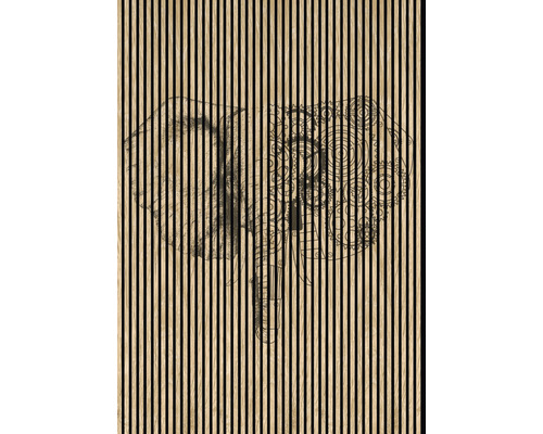 Designový akustický panel DIGI04Z 19x1693x2400 mm Akustický panel s motivem slona pro nástěnné dekorace
