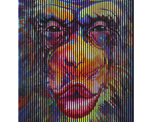 Designový akustický panel DIGI04Q 19x2253x2400 mm Malba lva, překrytá černými svislými pruhy