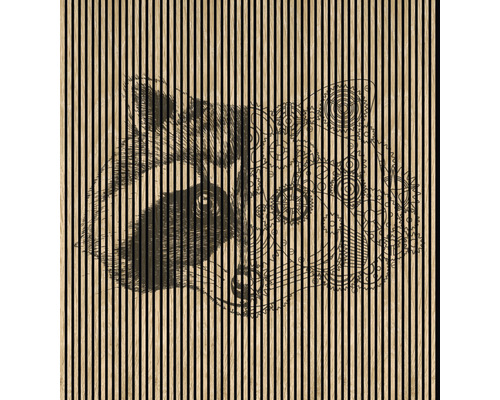 Designový akustický panel DIGI04X 19x2253x2400 mm Dekorativní deska s motivem medvěda na dřevěných lamelách