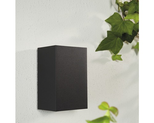 Krychlové nástěnné svítidlo na fasádě s břečťanem