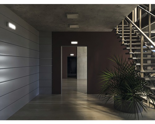 Interiér se schodištěm, rostlinou a osvětlením