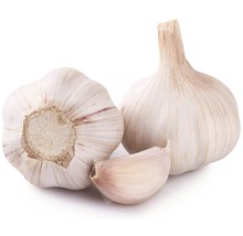Stroužek česneku a dvě hlavy česneku