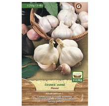 Jarní česnek k výsadbě v množství 250 gramů až 4 kilogramy.