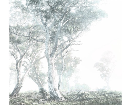 Fototapeta vliesová R3-023 Magic Trees 300x280 cm
