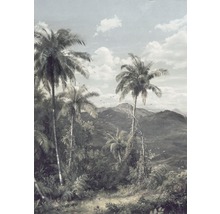 Tapeta s tropickou krajinou s palmami a horami