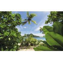 Krajina s tropickou vegetací, pláží a mořem