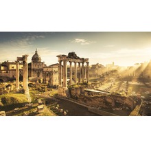 Historické ruiny a budovy Forum Romanum v Římě za úsvitu.