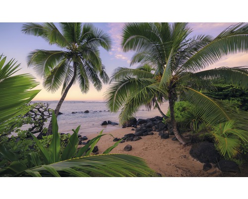 Fototapeta vliesová SHX9-116 Hawaiian Dreams 450x280 cm