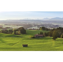 Krajina s loukami, poli a statky
