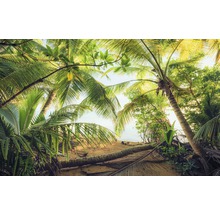 Pohled na pláž s palmami a tropickou vegetací