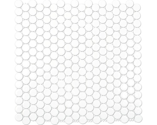 Keramická mozaika Knoflík 30,5x32,0 cm bílá 100N lesklá