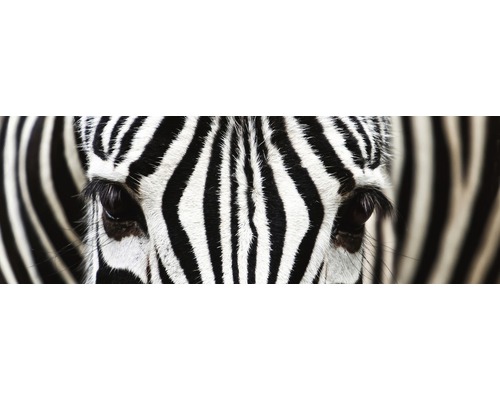 Detail zebřích očí s pruhovaným vzorem