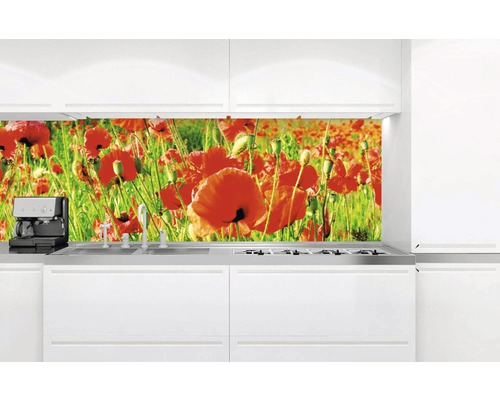 Kuchyňská zástěna s motivem vlčích máků v moderní bílé kuchyni