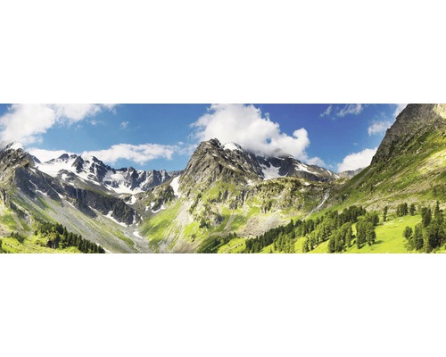 Panoramatický snímek hor se sněhem a vegetací