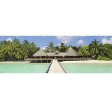 Panoramatický snímek resortu se střechami z došku, přístupného po mole z tyrkysové vody, obklopeného palmami.