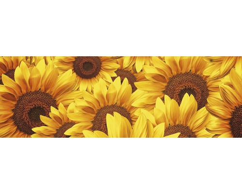 Detailní záběr několika slunečnic