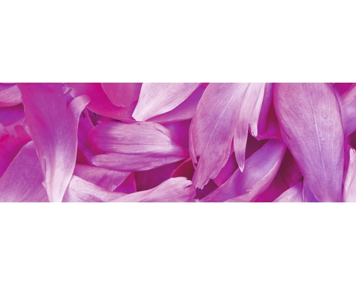 Detail okvětních lístků