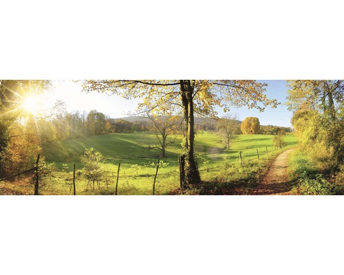 Podzimní krajina se stromy a loukami ve slunečním světle