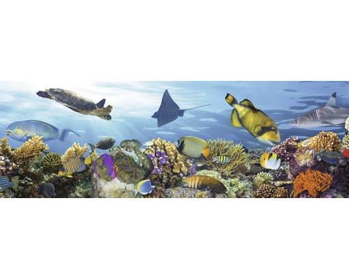 Podvodní pohled s korály, rybami, žraloky, rejnoky a želvou