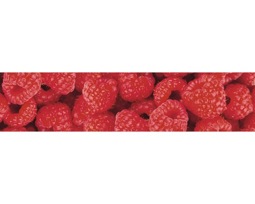 Detailní záběr malin