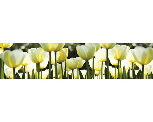 Detailní záběr na skupinu tulipánů v zahradním záhonu