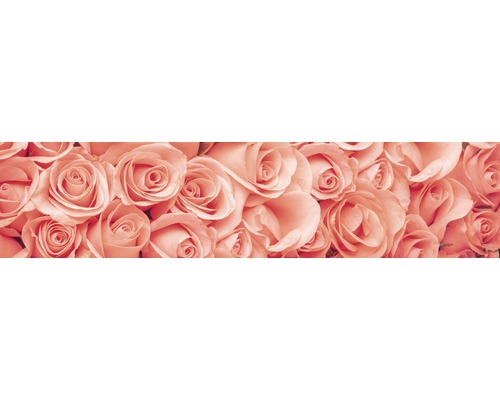 Detail mnoha květů růží