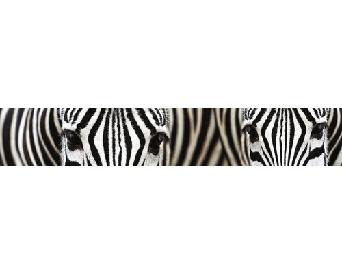 Detailní záběr dvou zeber s pruhovaným vzorem