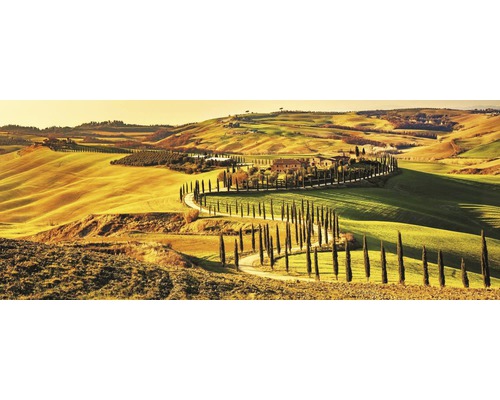 Krajina s kopci a silnicí lemovanou cypřiši