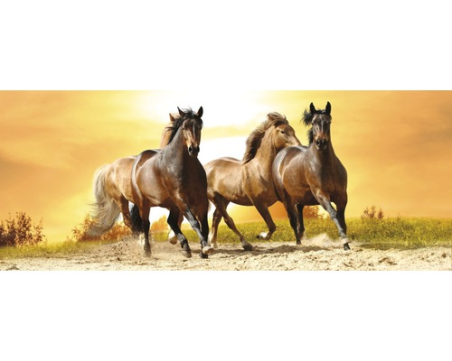 Dekorativní nástěnná malba se třemi cválajícími koňmi