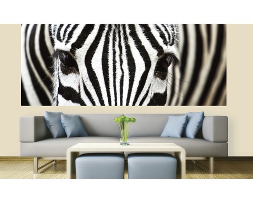 Fototapeta Zebra MP-2-0234