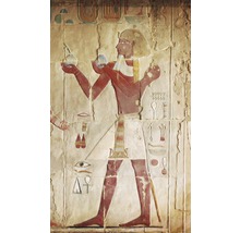 Obrázek egyptského reliéfu stojící osoby