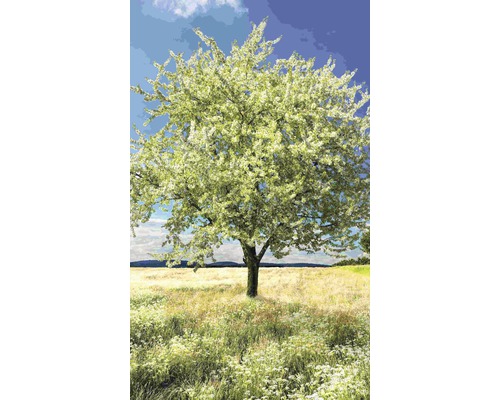 Kvetoucí strom na louce pod modrou oblohou