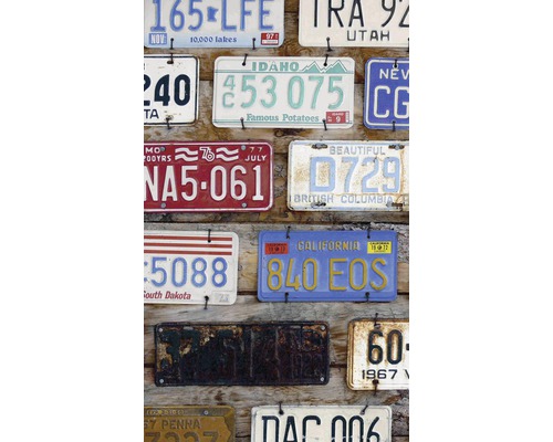 Nástěnná dekorace s několika starými poznávacími značkami z různých států