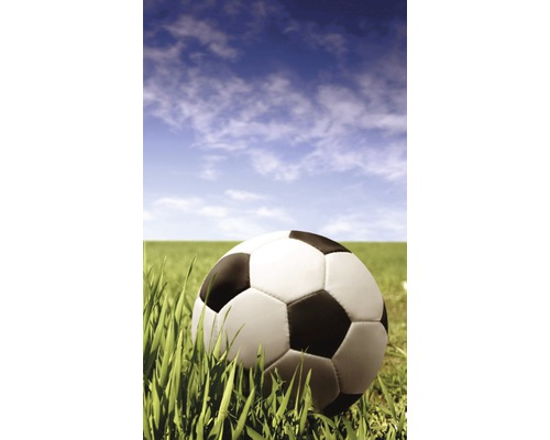 Fotbalový míč na trávě před modrou oblohou