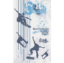 Vliesová fototapeta Skate MS-2-0313