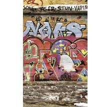Povrch natřených rolovacích vrat s graffiti