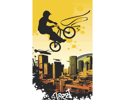 Ilustrace jezdce BMX skákajícího před městskou scenérií