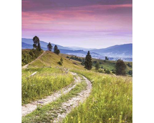 Krajina s polní cestou, kopci a stromy
