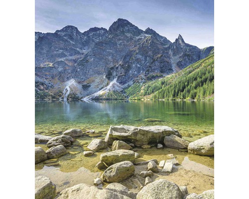 Horské jezero se skalami a lesem v pozadí