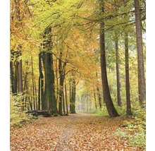 Vliesová fototapeta Podzimní les MS-3-0099-thumb-1