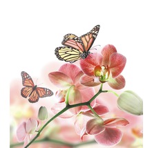 Vliesová fototapeta Motýli a orchideje MS-3-0146-thumb-1