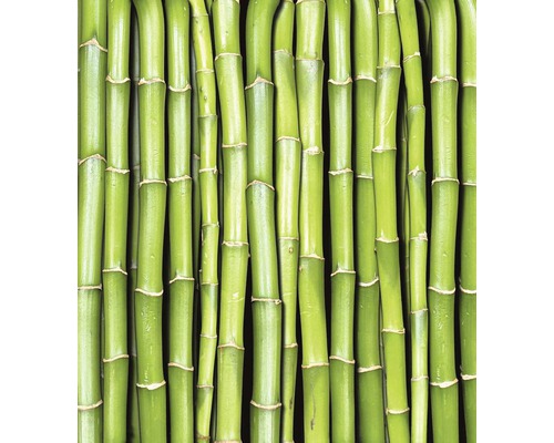 Bambusové stonky jako dekorace