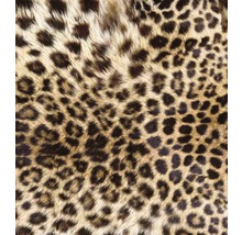 Vliesová fototapeta Leopardí kůže MS-3-0184-thumb-1