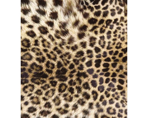 Leopardí vzor