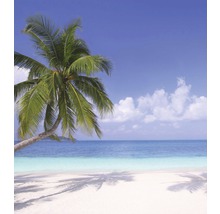 Vliesová fototapeta Pláž s palmou MS-3-0194-thumb-1