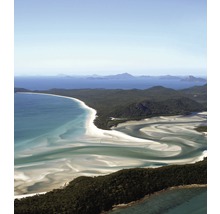 Letecký pohled na pobřeží s písečnou pláží a lesem