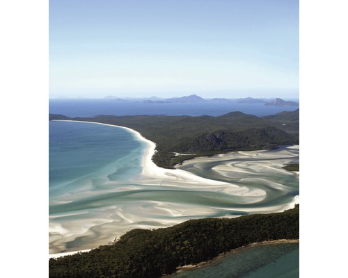 Letecký pohled na pobřeží s písečnou pláží a lesem