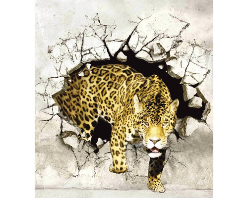 Nástěnná malba s jaguárem prorážejícím zeď