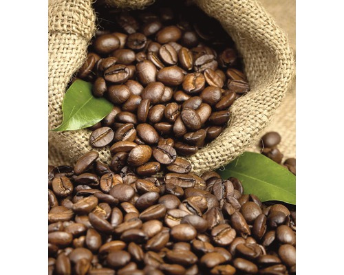 Kávová zrna v jutovém pytli